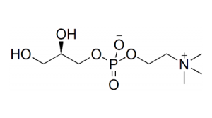 
Choline Alfoscerate molecular structure